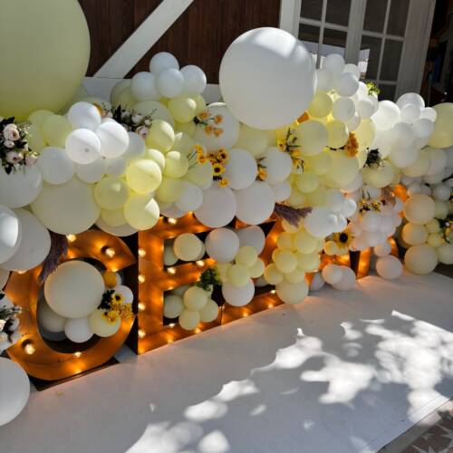 32524504-6d68-4615-9684-08a0660a948d