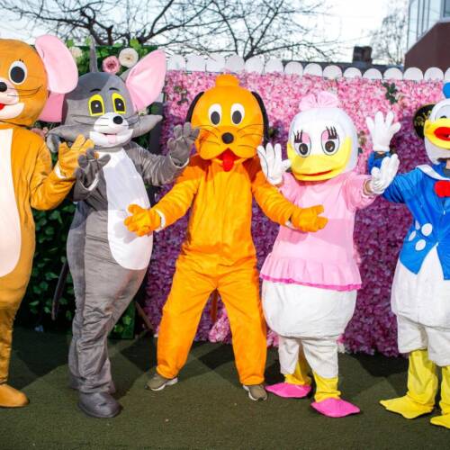 36861955_1051620214986481_2701781527242473472_n