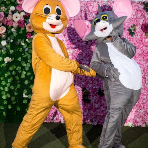 36910850_1051620294986473_838559722792550400_n