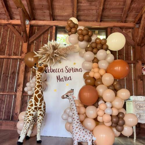 419789217_761223792708738_2287568764740047522_n