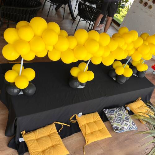 419796413_761244892706628_630904759485983116_n