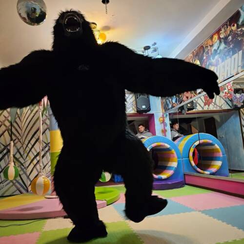 419849247_761208256043625_409227411379919154_n