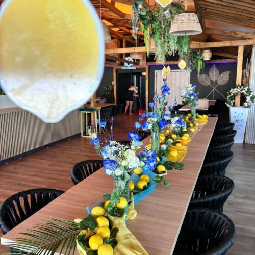 a586c991-1a08-4eac-9cfc-9ef24706c4bd