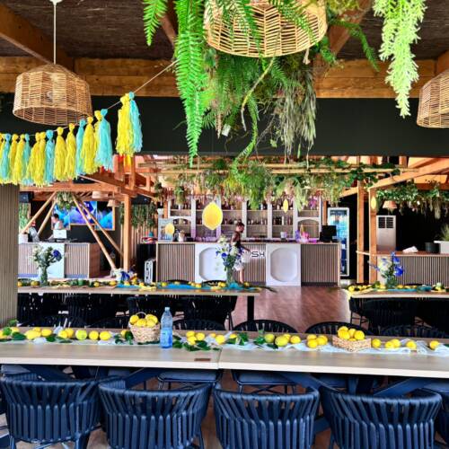 bf4c33fa-6168-4e5d-beb9-91d70e6f9310